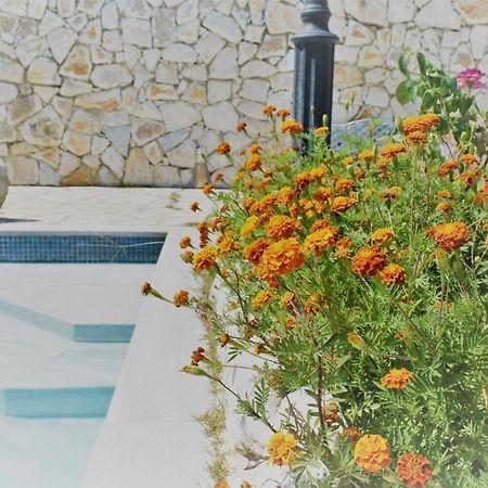 Estate Dafnopanagia Villa Magda Asprogerakata Esterno foto