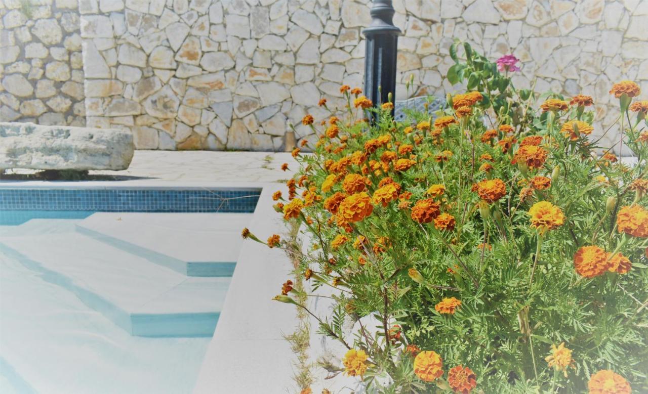 Estate Dafnopanagia Villa Magda Asprogerakata Esterno foto