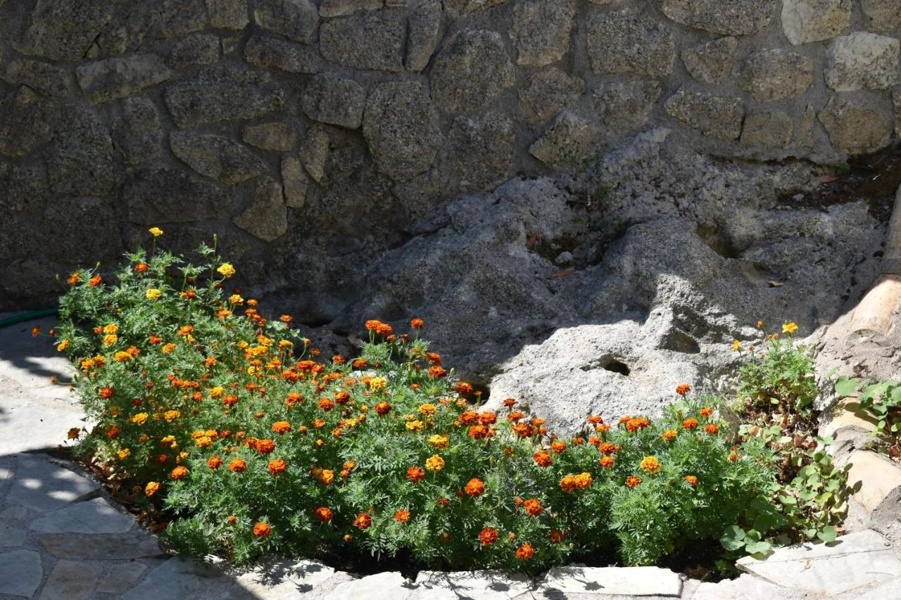 Estate Dafnopanagia Villa Magda Asprogerakata Esterno foto